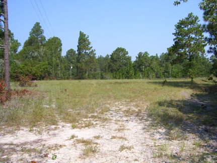 Farm and Ranch in Lexington County, South Carolina