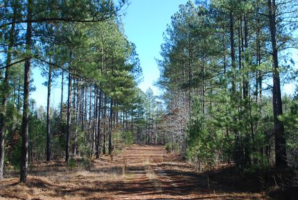 Farm and Ranch in Union County, South Carolina