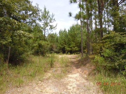 Farm and Ranch in Washington County, Alabama