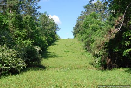 Farm and Ranch in Pearl River County, Mississippi