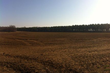 Farm and Ranch in Monroe County, Arkansas