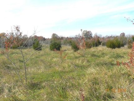 Recreational Property in Cass County, Missouri