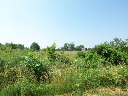 Farm and Ranch in Anderson County, Kansas
