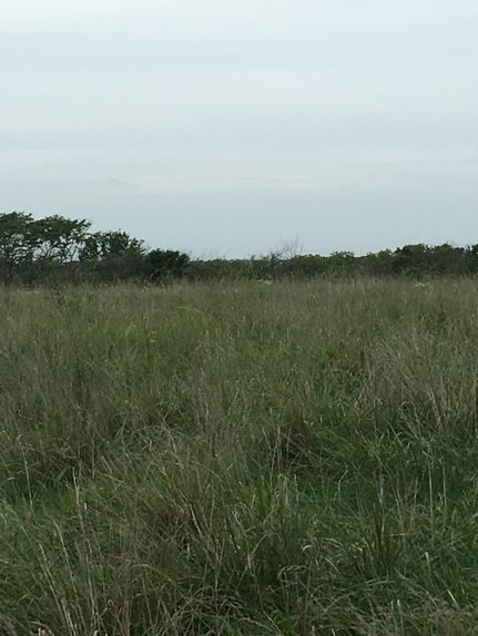 Farm and Ranch in Miami County, Kansas