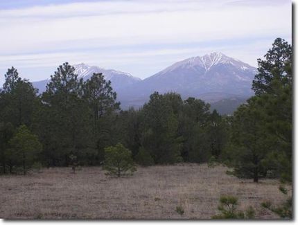 Farm and Ranch in Las Animas County, Colorado