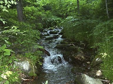 Farm and Ranch in Haywood County, North Carolina