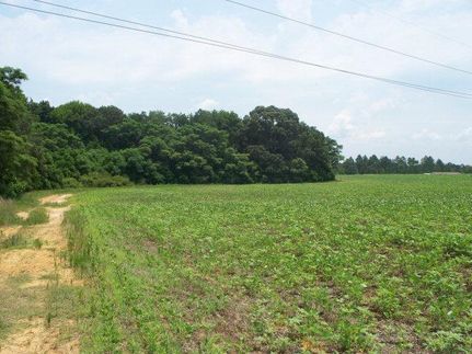 Land in Lee County, South Carolina