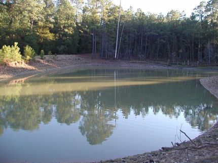 Farm and Ranch in Fayette County, Texas