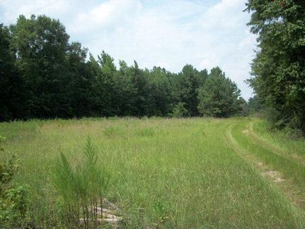 Land in Lee County, South Carolina