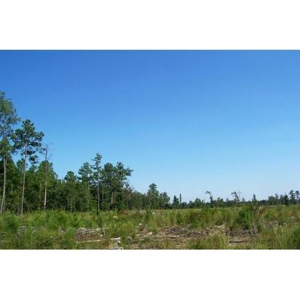 Farm and Ranch in Marlboro County, South Carolina