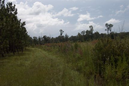 Farm and Ranch in Jasper County, South Carolina