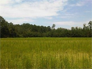 Land in Horry County, South Carolina
