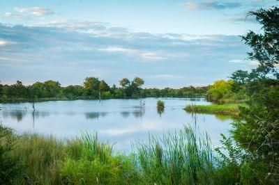 Timberland Property in Fayette County, Texas