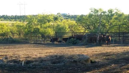 Timberland Property in Burnet County, Texas