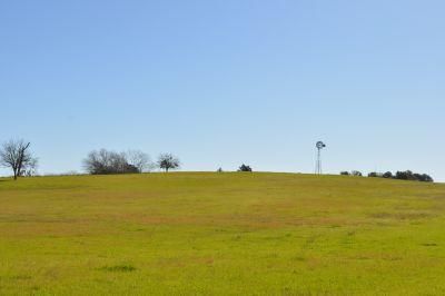 Farm and Ranch in Fayette County, Texas