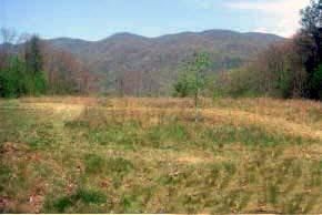 Land in Madison County, North Carolina