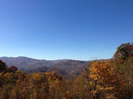 Farm and Ranch in Madison County, North Carolina