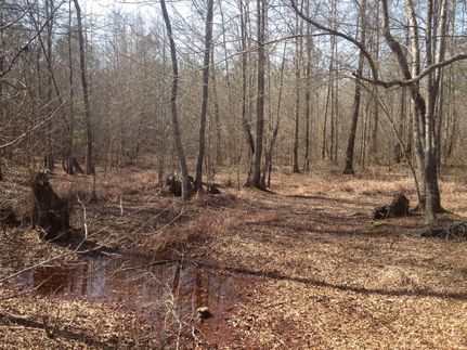Farm and Ranch in Sumter County, South Carolina