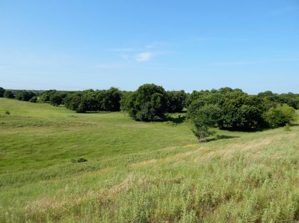 Timberland Property in Love County, Oklahoma