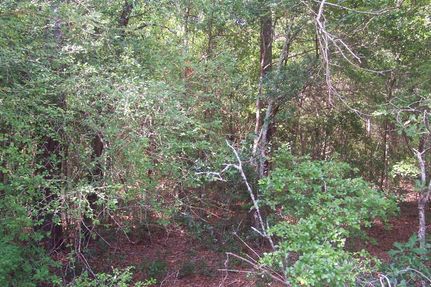 Farm and Ranch in Tattnall County, Georgia