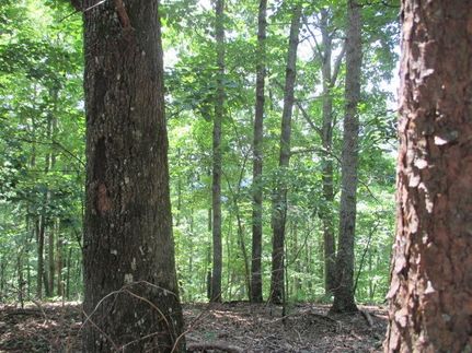 Farm and Ranch in Gordon County, Georgia