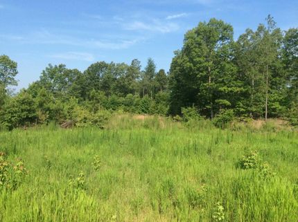 Farm and Ranch in Kershaw County, South Carolina