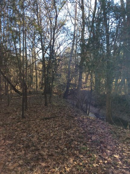 Farm and Ranch in Newberry County, South Carolina
