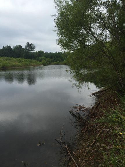 Land in Edgefield County, South Carolina