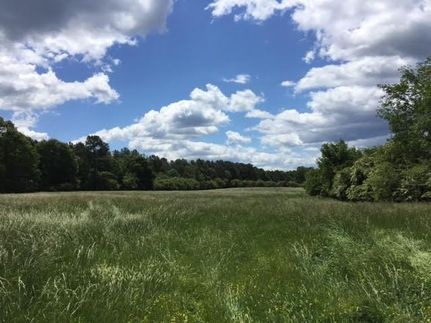 Farm and Ranch in Carroll County, Georgia