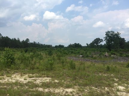 Undeveloped Land in Chesterfield County, South Carolina