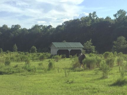 Horse Property in Richland County, South Carolina