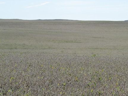 Land in Hand County, South Dakota