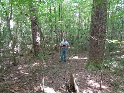 Timberland Property in Conecuh County, Alabama