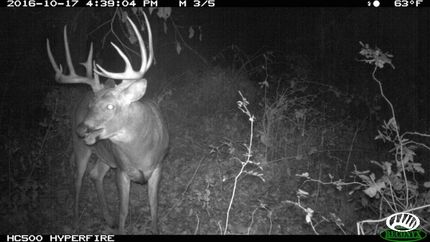 Farm and Ranch in Allamakee County, Iowa