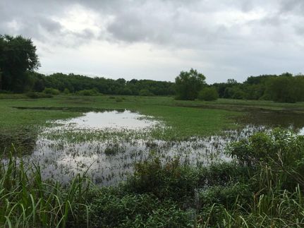 Farm and Ranch in Henry County, Missouri
