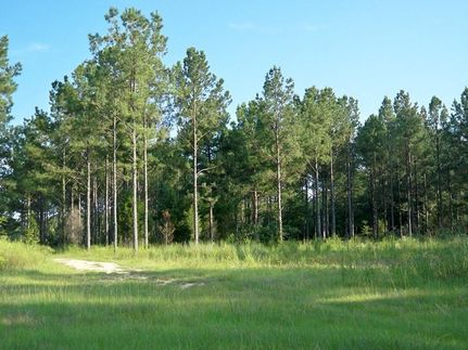 Land in Dallas County, Alabama