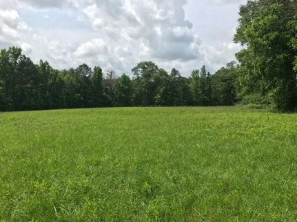 Recreational Property in Macon County, Alabama