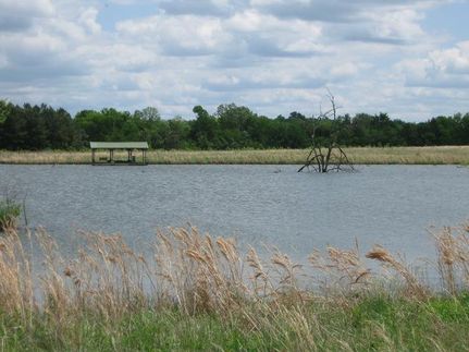 Farm and Ranch in Marengo County, Alabama