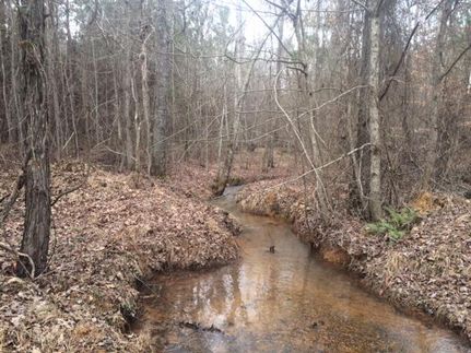Land in Cherokee County, Alabama
