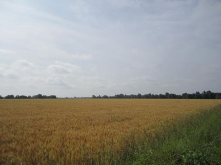 Undeveloped Land in Cherokee County, Kansas
