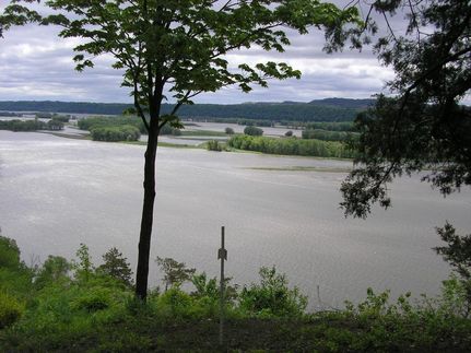 Timberland Property in Grant County, Wisconsin