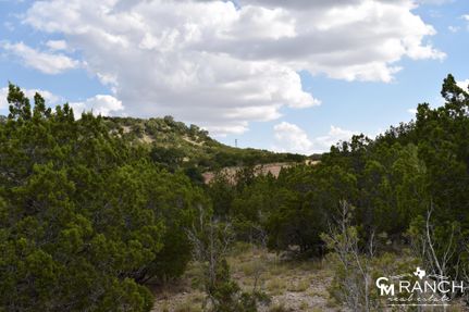 Farm and Ranch in Taylor County, Texas
