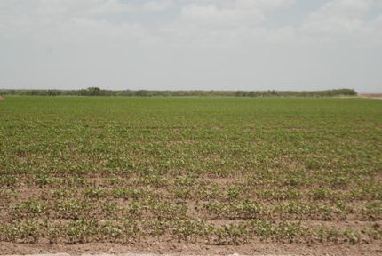 Recreational Property in Glasscock County, Texas