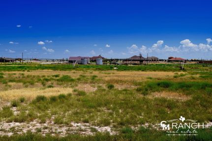 Undeveloped Land in Midland County, Texas