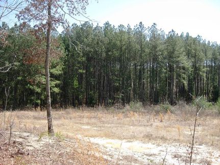 Farm and Ranch in Lexington County, South Carolina