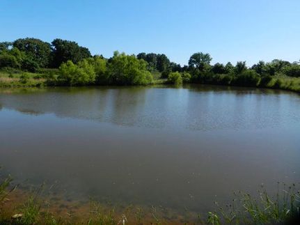Farm and Ranch in Benton County, Missouri