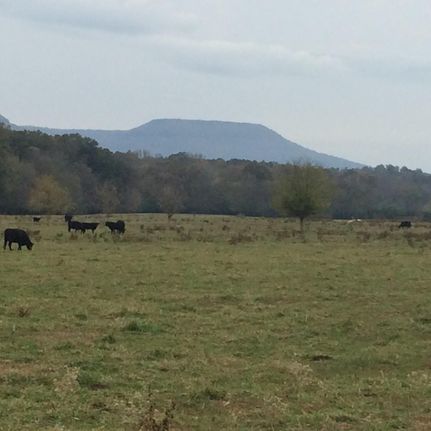 Farm and Ranch in Walker County, Georgia