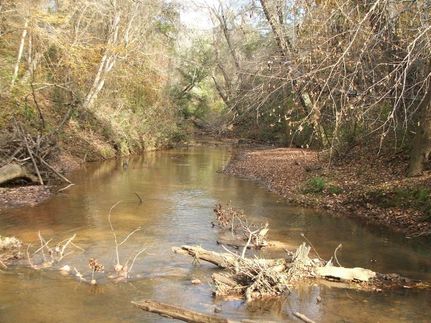 Undeveloped Land in Perry County, Alabama