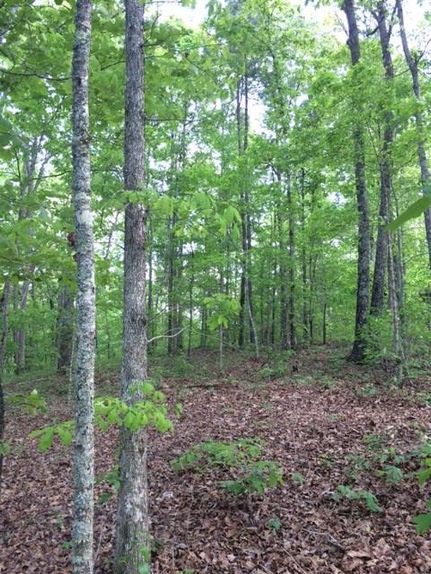 Farm and Ranch in Shelby County, Alabama