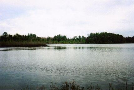 Farm and Ranch in Alger County, Michigan